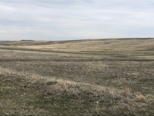 Jones Family Grassland